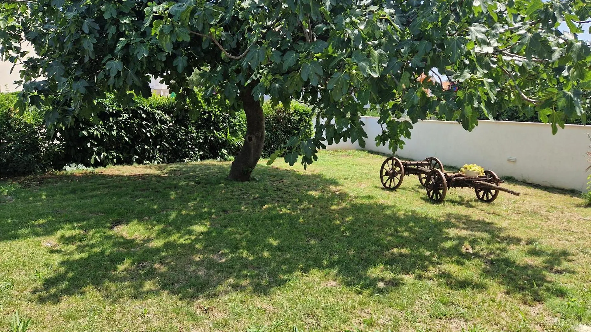 House Viola Villa Pula